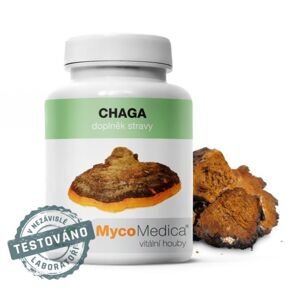 Chaga v optimálnej koncentrácii MycoMedica 90 rastlinných kapsúl