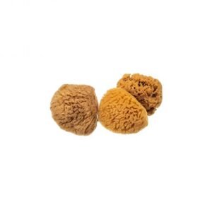 Morská hubka hodvábna mini, nebielená EatGreen 3ks