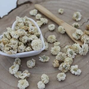 Harmanček rímsky - kvet - Anthemis nobilis - Flos chamomillae romanae 250 g