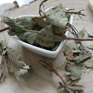 Škumpa vlasatá - vňať narezaná - Cotinus coggygria - Herba 1000 g