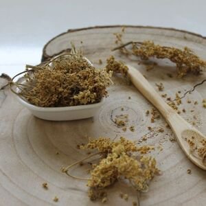Alchemilka obyčajná -  vňať narezaná - Alchemilla vulgaris - Herba alchemillae 1000 g