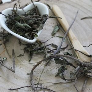 Mäta pieporná - vňať celá - Mentha x piperita - Herba menthae piperitae 1000 g