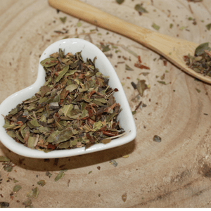 Medvedica lekárska - list narezaný - Arctostaphyllos uva-ursi - Folium uvae ursi 1000 g