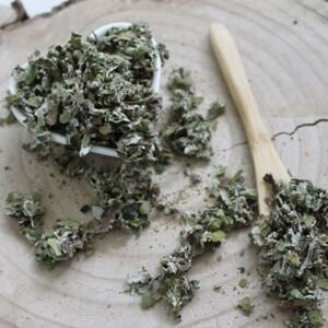 Podbeľ liečivý - list narezaný - Tussilago farfara - Folium farfarae 1000 g