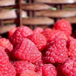 Naturálna voda Malina Rubus idaeus - list 1 l