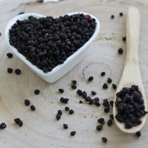Baza čierna - plod - Sambucus nigra - Fructus sambuci 50 g