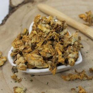 Divozel malokvetý - kvet - Verbascum thapsus - Flos verbasci 50 g