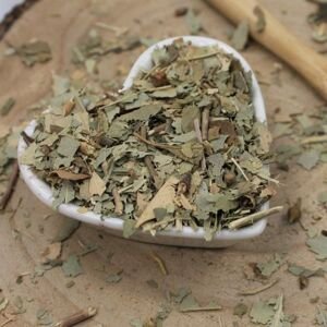 Blahovičník guľatoplodý, eukalyptus - list narezaný - Eucalyptus globulus - Folium eucalypti 50 g