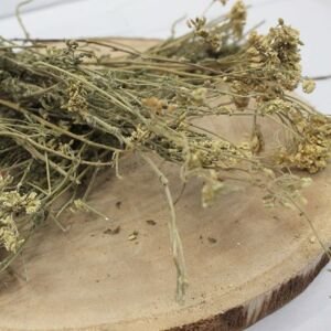 Rebríček obyčajný - kvet celý - Achillea millefolium - Flos millefolii 1000 g