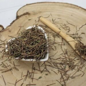 Tymián obyčajný - list celý - Thymus vulgaris - Folium thymi vulgaris 1000 g