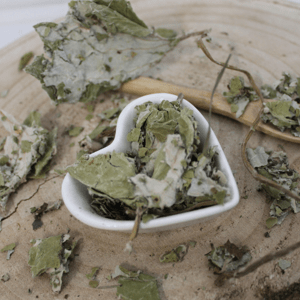 Lesná jahoda - list narezaný - Fragaria vesca - Folium fragariae 1000 g