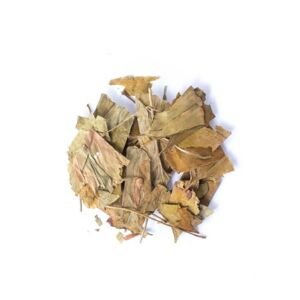 Ginko dvojlaločné - list celý - Ginkgo biloba - Folium ginkgo 1000 g