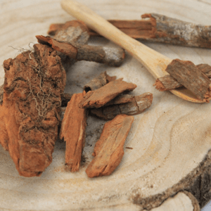 Chinínovník lekársky - kôra celá - Cinchona officinalis - Cinchonae cortex 250 g
