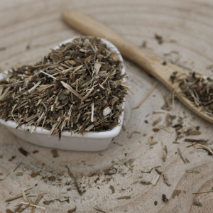 Zádušník brečtanovitý - vňať narezaná - Glechoma hederacea - Herba hederae terrestris 1000 g