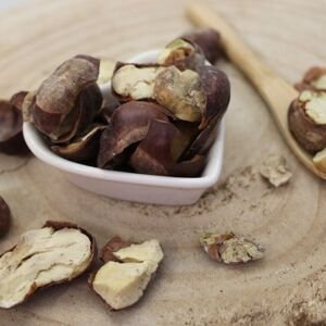 Gaštan, Pagaštan konský - plod celý - Aesculus hippocastanum - Fructus hippocastani 50 g