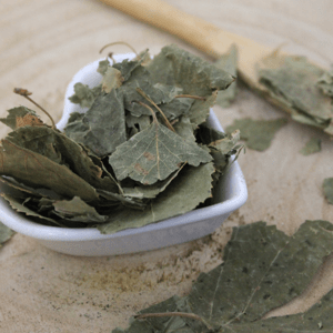 Breza previsnutá, breza bielokôra - list celý - Betula pendula - Folium betulae 50 g