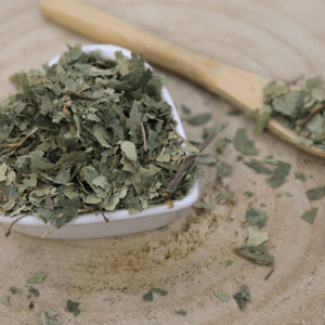 Breza previsnutá, breza bielokôra - list narezaný - Betula pendula - Folium betulae 250 g