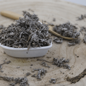 Šalvia lekárska - list celý - Salvia officinalis - Folium salviae 50 g