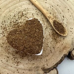 Kôpor voňavý - semeno mleté - Anethum graveolens - Semen anethi 1000 g