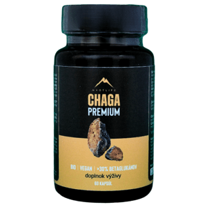 Chaga Hrotlife 60 kapsúl
