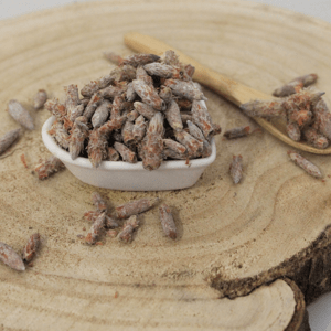 Borovica lesná - výhonky celé - Pinus sylvestris - Turio pini sylvestris 1000 g