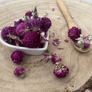 Ďatelina lúčna - kvet celý - Trifolium pratense - Flos trifolii rubri 1000 g