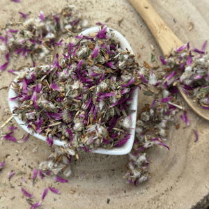 Ďatelina lúčna - kvet narezaný - Trifolium pratense - Flos trifolii rubri 50 g