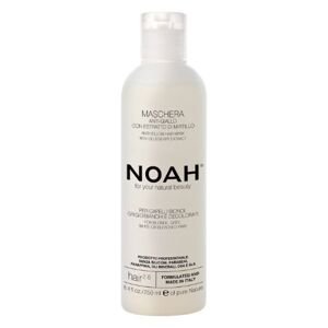 Maska na žlté odtiene čučoriedka Noah 250ml