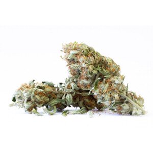 Super Silver Haze CBG - Indoor CBD kvety Cannapio 20g