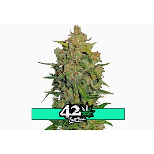 Lemon AK Auto - samonakvétacie semená marihuany 3 ks Fast Buds