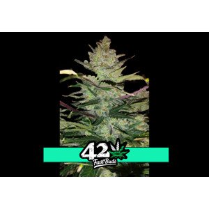 Green Crack Auto - samonakvétacie semená marihuany 10 ks Fast Buds