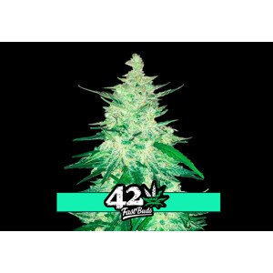 CBD Crack Auto - samonakvétacie semená marihuany 10 ks Fast Buds