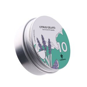Citrus Gelato - feminizované semená 10 ks Cannapio