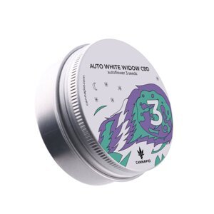 Auto White Widow CBD – 3 ks samonakvétacích semien Cannapio