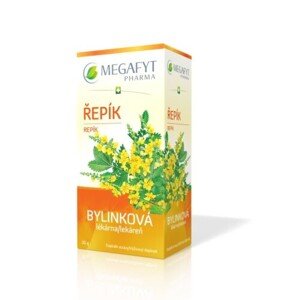 MEGAFYT Bylinková lekáreň repík 20 x 1,5 g