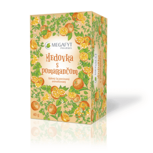 MEGAFYT Medovka s pomarančom 20 x 2 g