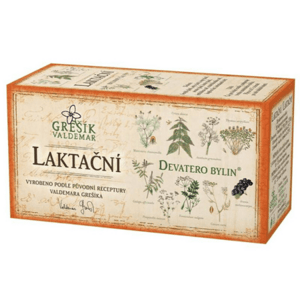 GREŠÍK Laktačný čaj 20 x 1,5 g