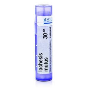 LACHESIS MUTUS 30CH granule 4 g