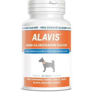 ALAVIS MSM + Glukozamín sulfát 60 tabliet