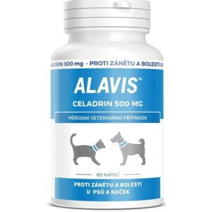 ALAVIS Celadrín 60 kapsúl