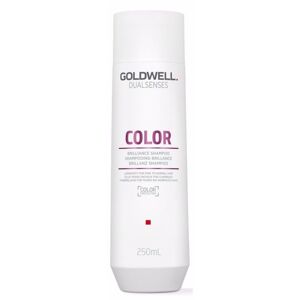 Goldwell Dualsenses Color Shampoo 250ml - Šampón na farbené vlasy