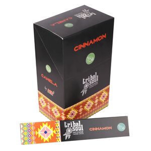 TRIBAL SOUL Tribal Vonné Tyčinky - Škorica 1 balenie