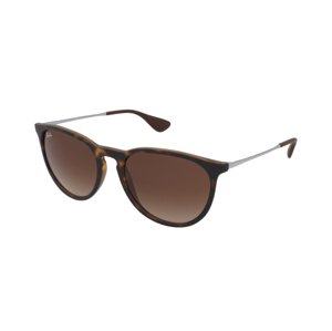 Ray-Ban RB4171 865/13