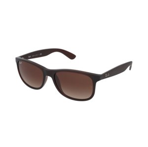 Ray-Ban RB4202 607313