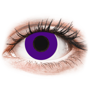 CRAZY LENS - Solid Violet - nedioptrické jednodenné (2 šošovky)