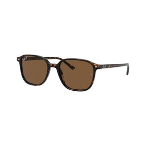 Ray-Ban Leonard RB2193 902/57