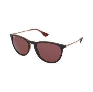 Ray-Ban Erika RB4171 639175