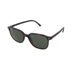 Ray-Ban Leonard RB2193 902/31