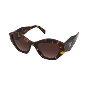 Prada PR 07YS VAU6S1
