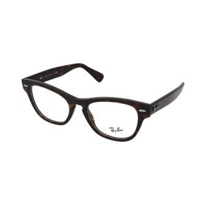Ray-Ban Laramie RX2201V 2012